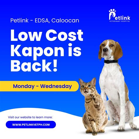 Presenting you our “Low Cost Kapon” .
